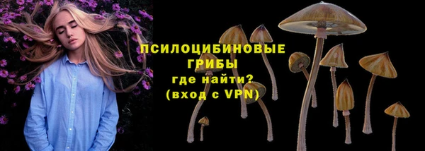 сатива Алзамай