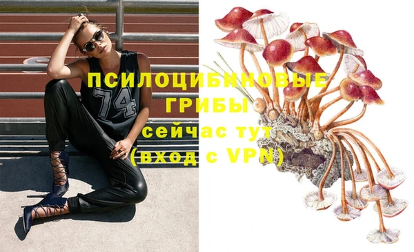 дурь Алексин