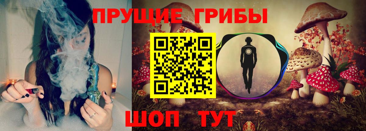 Псилоцибиновые грибы мицелий  Вход с VPN  Коркино 